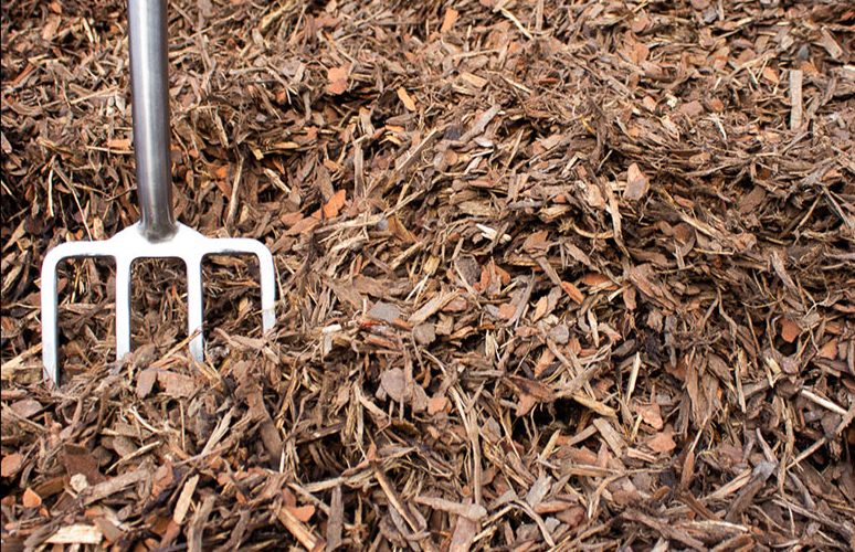 Bark mulch